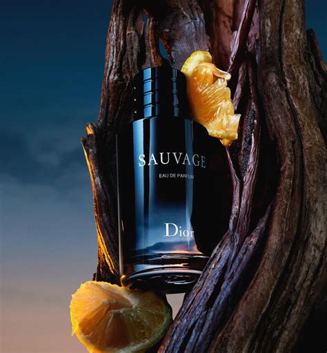 dior sauvage ddp|dior sauvage vanilla.